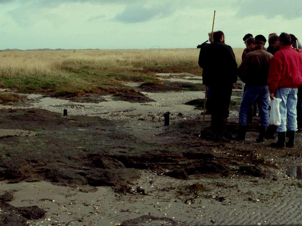 De begeleidingscommissie monitoring bodemdaling Ameland J. de Vlas (Vz) (Waterdienst Rijkswaterstaat) G. Wintermans (Secr.) NAM H. Durenkamp Ministerie EL&I S. Braaksma Ministerie EL&I A.