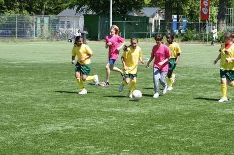 sportaanbod; beleven - toegankelijk