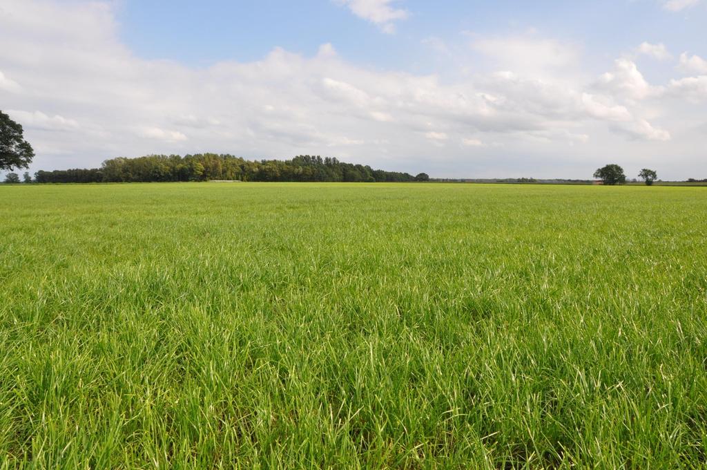 GRASLANDVISIES Vanuit landbouw : Hoge productie van goed verteerbaar gras Stevige