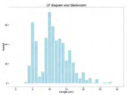 Lengte-frequentie