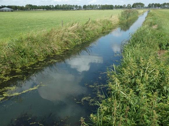 1 Verloop bemonstering De bemonstering van dit waterlichaam is op 28 juli en 13 augustus uitgevoerd waarbij op tien verschillende locaties is gevist.