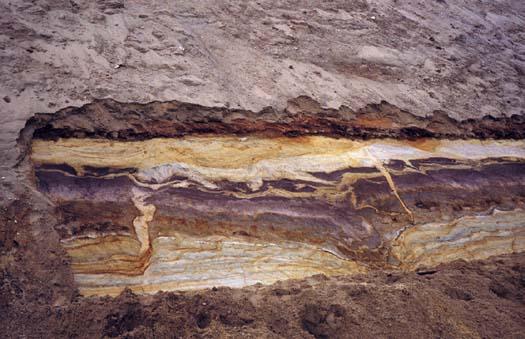 De onderzijde van de is te correleren met de Beerse-member van Kasse. Lokaal worden periglaciale verschijnselen aangetroffen (vorstwiggen, cryoturbatie).