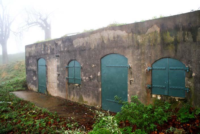 Gerestaureerde batterij aan de Meerdijk Gemaal de Oude Horn na de restauratie Nieuwe deuren in de waaiersluis bij Fort Asperen 6 Colofon De nieuwsbrieven Diefdijklinie zijn een uitgave