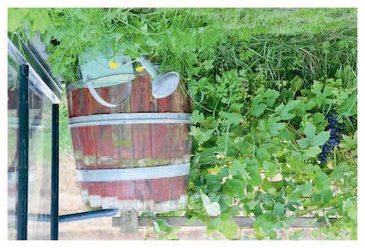 Water op de moestuin Sommige mensen sjouwen, na een halve droge dag, alweer met volle gieters. Dat heeft geen enkele zin.