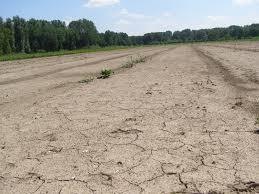 Fysiologische afwijkingen Afwijkingen in het klimaat Een verkeerde