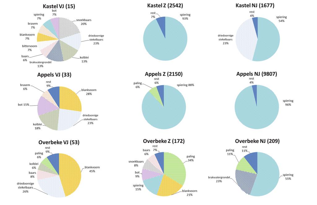 Zeeschelde tijdens de 2015 campagnes (VJ: