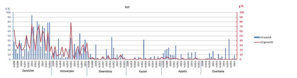 Volwassen individuen planten zich in de Noordzee voort tussen februari en mei. Een groot deel van de larven komt passief (bij vloed) binnen in estuaria (Kroon, 2009).