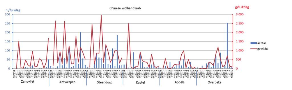 Figuur 41. Aantallen en biomassa per fuikdag van de Chinese wolhandkrab gevangen in de Zeeschelde locaties in de verschillende seizoenen voor de periode 2010-2015, biomassa data ontbreken soms.