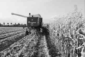 In ons land valt jaarlijks zo n 760 mm regen. Een groot deel van het water valt in de wintermaanden. In het groeiseizoen valt minder water, dan de planten verbruiken.