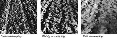 verslemping Fig. 5.2 Lemige zandgronden Lemige zandgronden zijn gevoelig voor verslemping. Goede landbouwgrond bestaat uit kruimels.