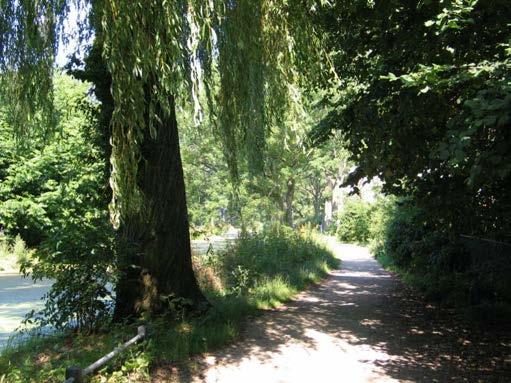 7.5 Verzamelde individuen In Park Roomburg zijn 2 groepen van verzamelde individuen die de ruimtes een eigen sfeer geven. De beleving van de ruimtes is het meest van belang.