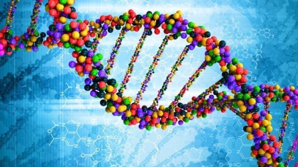 Erfelijke eigenschappen = DNA In ons liggen zitten tal van genen die informatie geven aan ons lichaam over hoe ze moeten groeien en hoe ons lichaam eruit moet zien.