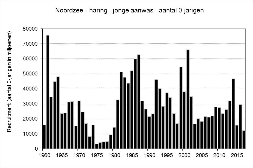 Haring (IV, IIIa & VIId): aanwas laag, ondanks omvang bestand