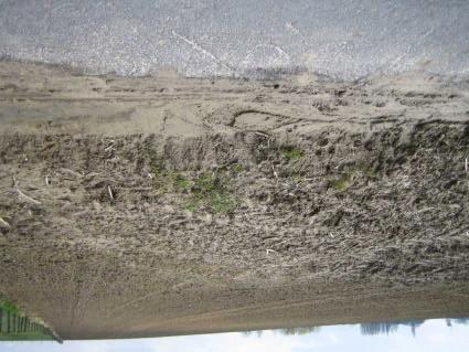 In een andere enquête werd melding gemaakt van problemen met betrekking tot erosie (modderstroom van bovengelegen percelen en dichtslibben gracht) aan de Overberg.