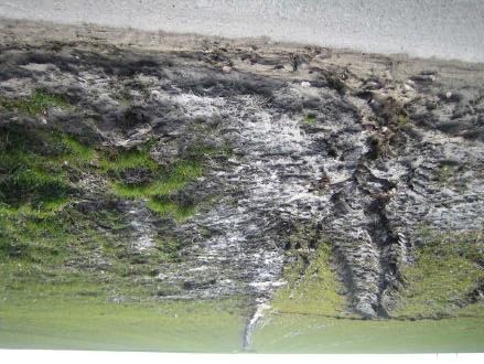 50 %), dat bedekte de bodem voldoende, er werden geen erosiegeulen waargenomen. In de gracht aan de Neerbeekstraat werd wel sediment waargenomen (Foto 4.31).