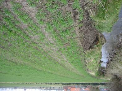 Knelpuntenanalyse Foto 4.39: Onstabiele oever aan de Biestbeek ter hoogte van perceel 81332 Er werden erosieproblemen gemeld in de Otegemsesteenweg, namelijk modder op wegdek.