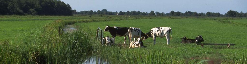 nog 1506 ha natuur te ontwikkelen en 3000 ha te begrenzen als groene contour. De begrenzing van natuur wordt gevormd door de in het veld aanwezige beheeren landschapstypen.