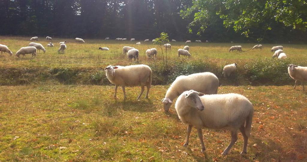 van de natuur verder willen ontwikkelen en verhogen. Voor een kwaliteitsimpuls natuur en landschap zijn twee subsidiemogelijkheden: investeringssubsidie en subsidie functieverandering.