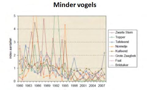 drempeloverschrijdende aantallen van Aalscholver, Smient, Krakeend, Tafeleend, Kuifeend, Toppereend, Nonnentje, Meerkoet en Visdief, die het gebied benutten als overwinteringsgebied, ruigebied of