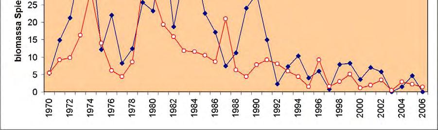 Bijzonder van de spiering in het Markermeer en IJmeer is dat hij niet de natuurlijke vierjarige levenscyclus kent (in vierjaar van geboorte, opgroeien, jongen en sterven) maar een eenjarige cyclus