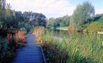 Verschillende milieus met hoge of heel hoge biologische waarde in de fases I, II en III van het Koning Boudewijnpark hebben het statuut van Speciale Beschermingszone Natura 2000.