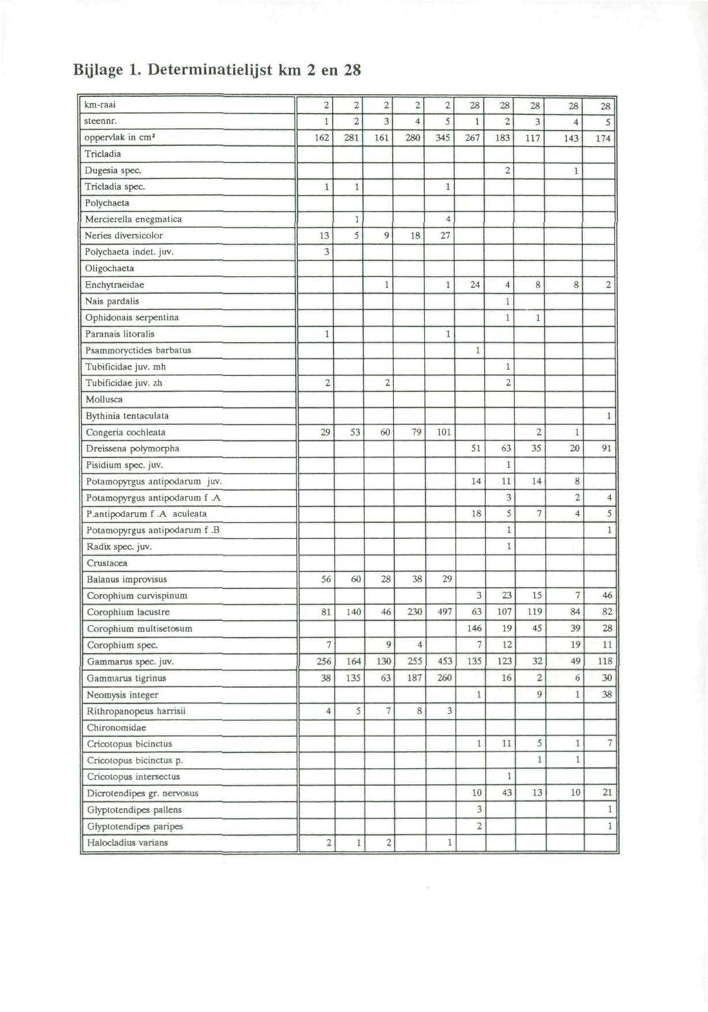 Bijlage 1. Determinatielijst km 2 en 28 km-raai 2 2 2 2 2 28 28 28 28 28 sleenrtr.