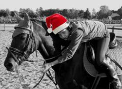 Een jaar waarin je samen met je paard of pony heel veel leuke momenten mag beleven.