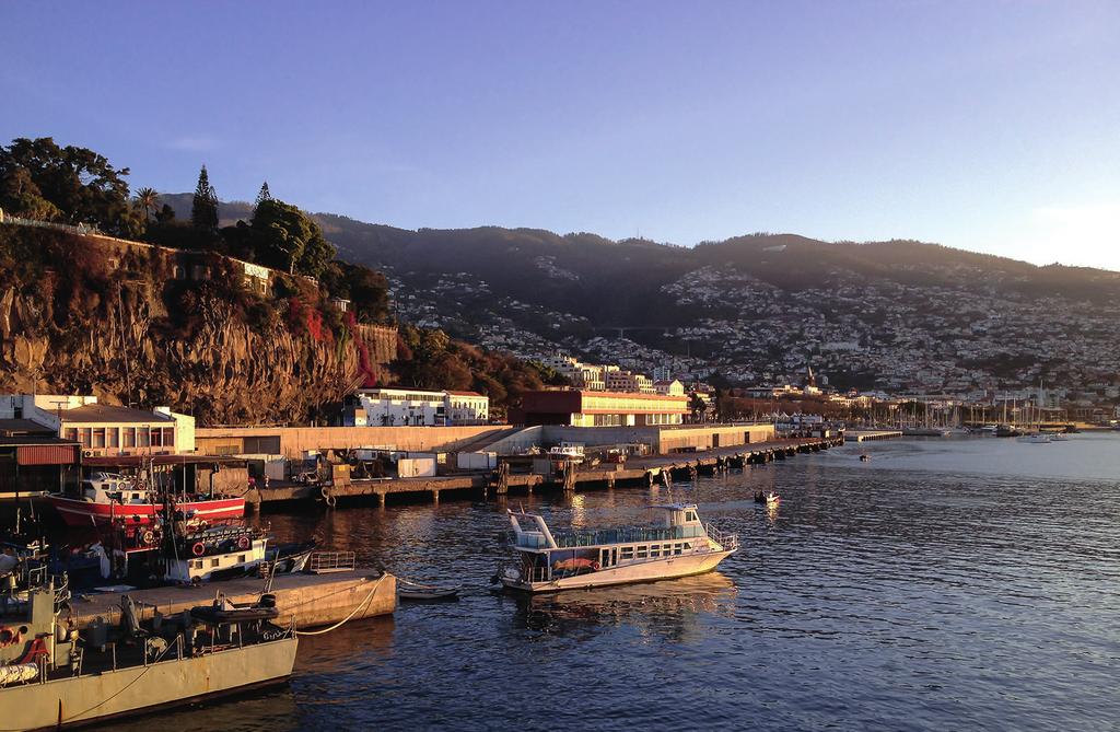 4 Ochtendlicht over de vissershaven. Wie de stad beter leert kennen, ontdekt echter dat Funchal een bijzonder prettige en verzorgde stad is.