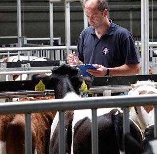 trac teerde kalverhouders zorgen voor de levering van voer, nuka s en onder steuning.