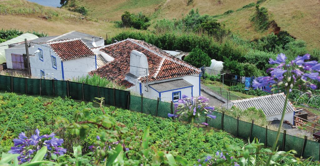 5 Het wit-blauwe dorp Santa Bárbara doet mediterraan aan. GEKLEURDE DORPEN De architectuur van de huizen op de Azoren is sterk beïnvloed door die van de Portugese regio s Alentejo en Algarve.