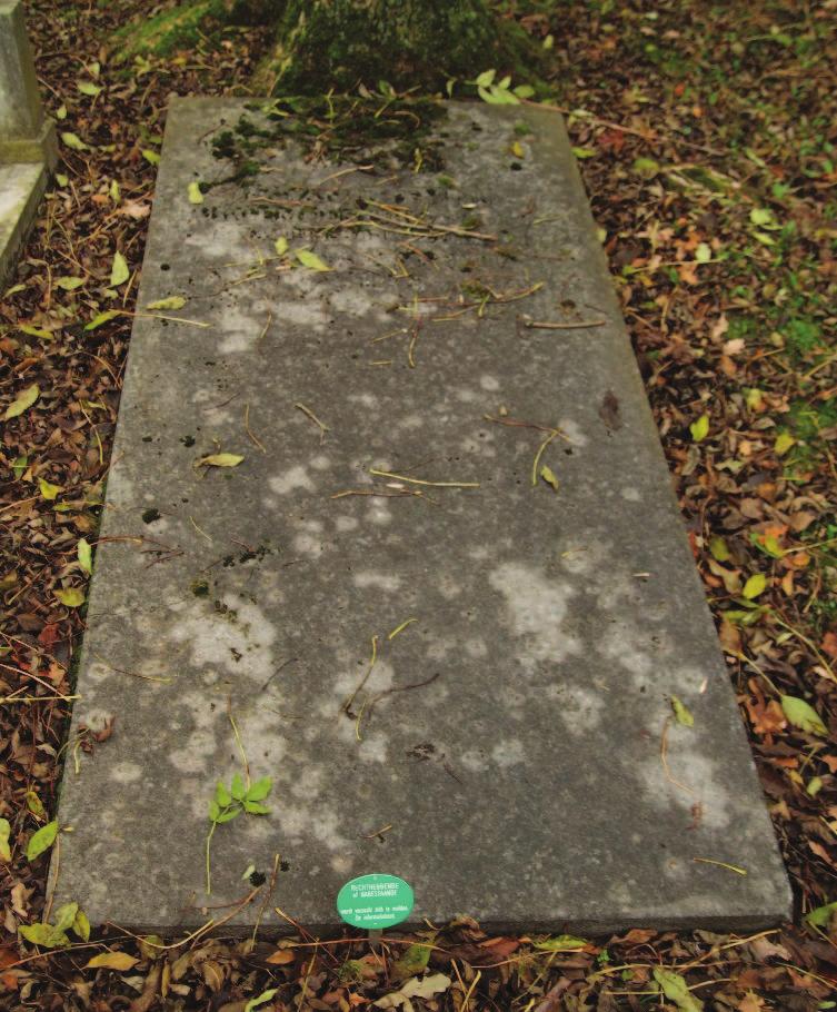 De aanleg heeft vermoedelijk plaats gevonden in het jaar 1829. Volgens het grafregister was de eerste begrafenis in mei 1830. Toen werd een kind van Langerak begraven, zoals de boeken vermelden. 1.3 In gebruik Nadat de begraafplaats in gebruik genomen werd, verschenen er langzamerhand diverse grafmonumenten.