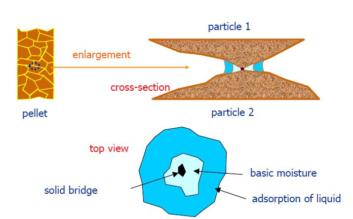 de deeltjes een groter specifiek oppervlak hebben, wat positief is bij de vertering van nutriënten. Figuur 9: vergelijking in deeltjesspreiding tussen hamer en cilindermolen (Eeckhout, 2013)