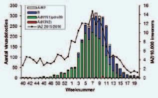 Figuur 2. Virusdetecties in het influenzaseizoen 2015/2016 in door de peilstations afgenomen monsters van patiënten met een influenza-achtig ziektebeeld (IAZ).