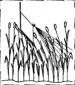 2. Materiaal en methode De Släpduk (sleepdoek) is een in Zweden (Acanova) ontwikkeld spuitsysteem (fig. 1).