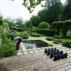 Het is het levenswerk van Mien Ruys, één van de belangrijkste tuinarchitecten van de 20e eeuw.