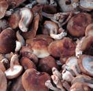 Picassogarnituur + 3,50 Surprise 23,00 Drie soorten gebakken vlees met aan tafel geflambeerd garnituur van champignons,