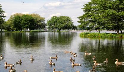 Daarmee krijgt Meerstad haar eigen watergerelateerde openbare park aan het water.