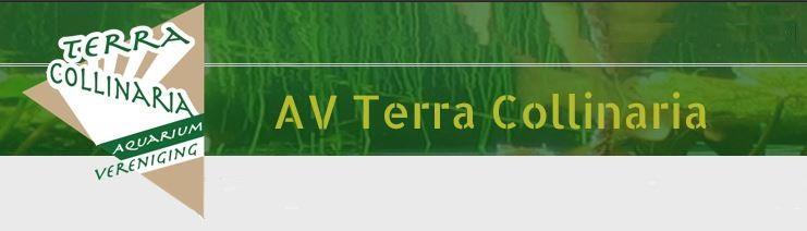 Jaargang 37 Nummer17 sept. 2017 www.terracollinaria.nl E-mail: info.terracollinaria@gmail.com TC Meer dan boeiend!! In onze laatste TC News hebben jullie gelezen dat we op 15 sept. a.s. onze bijeenkomst hebben.