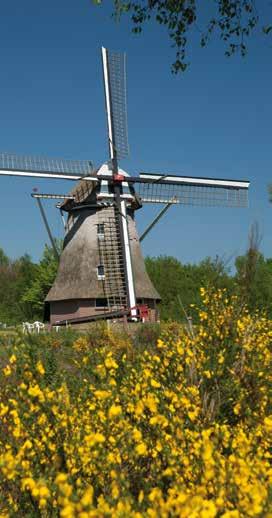 Ten oosten van het dorp vindt u uitgestrekte weilanden die doorlopen tot aan de Ijssel en ten westen vindt u uitgestrekte bossen.