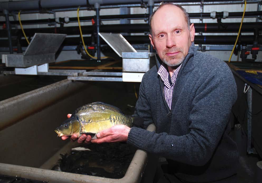 onderzoek en beheer Jan van Mechelen heeft met succes de OVB kwekerij in Valkenswaard voortgezet.