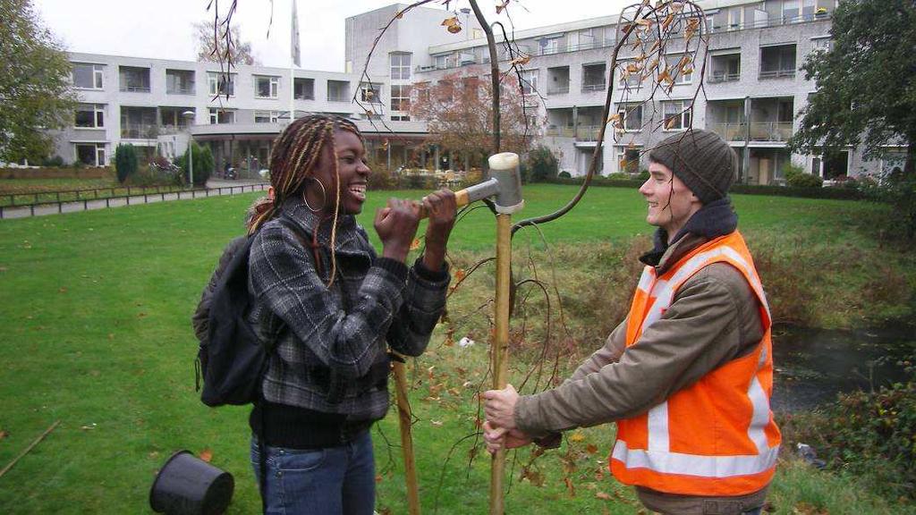 Guerrilla gardening In een woonwijk uit de jaren 60 vragen twee studenten van de opleiding Managemant Buitenruimte aan hangende jongeren of ze mee willen helpen illegaal een boom te planten in