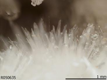 HYDROZINCIET Het mineraal hydrozinkiet is een zink-carbonaat met de chemische formule Zn5(CO3)2(OH)6. https://nl.wikipedia.org/wiki/hydrozinkiet https://www.