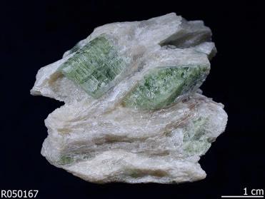 TREMOLIET Het mineraal tremoliet is een calcium-magnesium-inosilicaat met de chemische formule Ca2Mg5Si8O22(OH)2. Het behoort tot de amfibolen. https://nl.