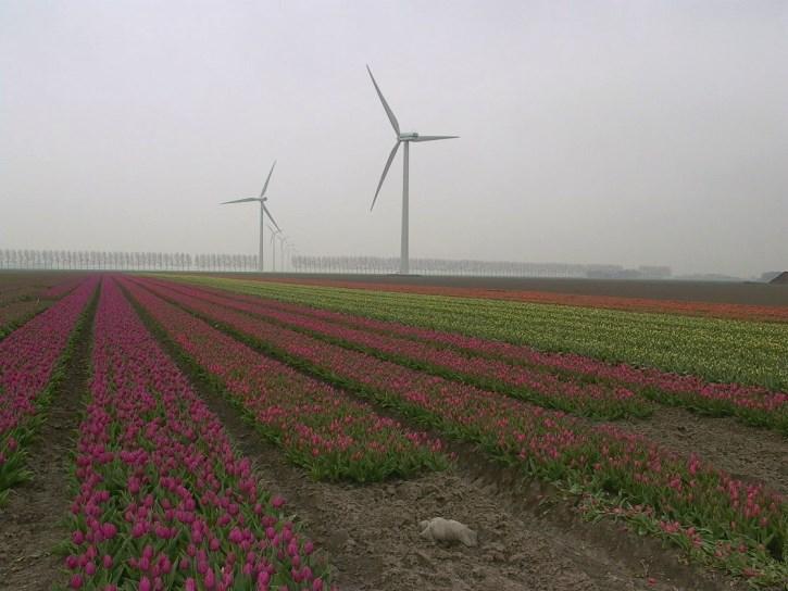 belangrijke economische betekenis. Om ook in de toekomst een vooraanstaande rol te kunnen blijven spelen moeten een aantal knelpunten worden opgelost.