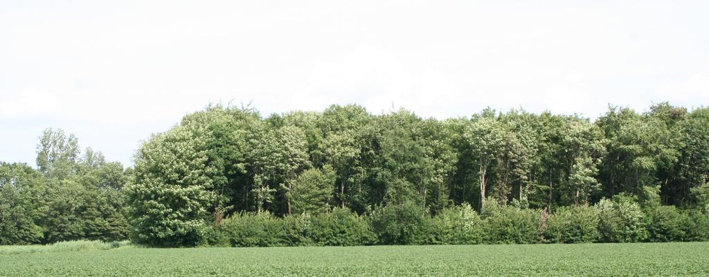 10 Projectvoorstel Oostkant Dronten opnieuw volledig eigendom van Staatsbosbeheer.