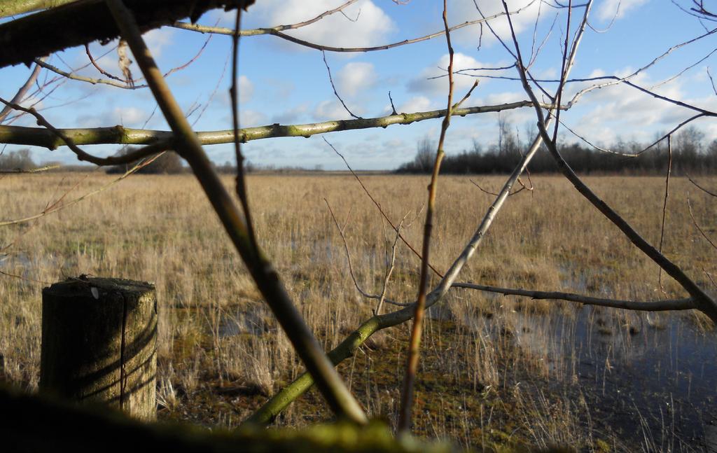 24 Projectvoorstel Oostkant Dronten kan worden omgeruild met gronden uit het programma nieuwe natuur.