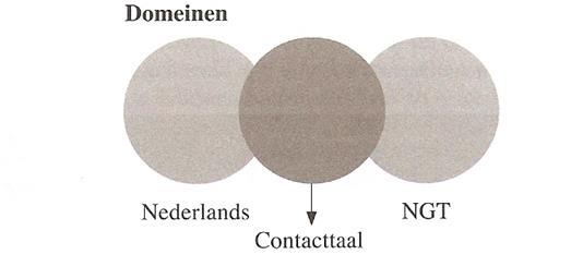 In sommige gevallen wordt het ook wel Nederlands ondersteund met Gebaren genoemd. Als afkorting wordt tegenwoordig NmG gebruikt. NmG is geen taal op zich, het heeft geen eigen grammaticale regels.