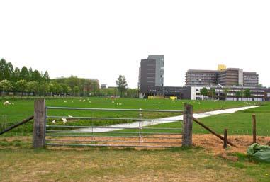Het blijft mogelijk de gebouwen in het landschap van de Kromme Rijn te laten staan, zij het dat er wel aan het landschap gebouwd moet worden. Het gras ligt tot aan de gevel.