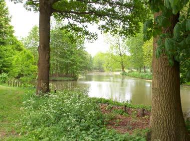 Het masterplan Park aan de Hoofddijk heeft het authentieke landschap als drager.
