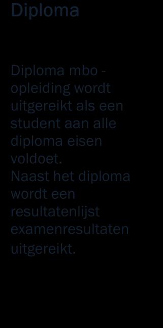 Op de resultatenlijst van je diploma worden de resultaten op de volgende manier weergegeven.